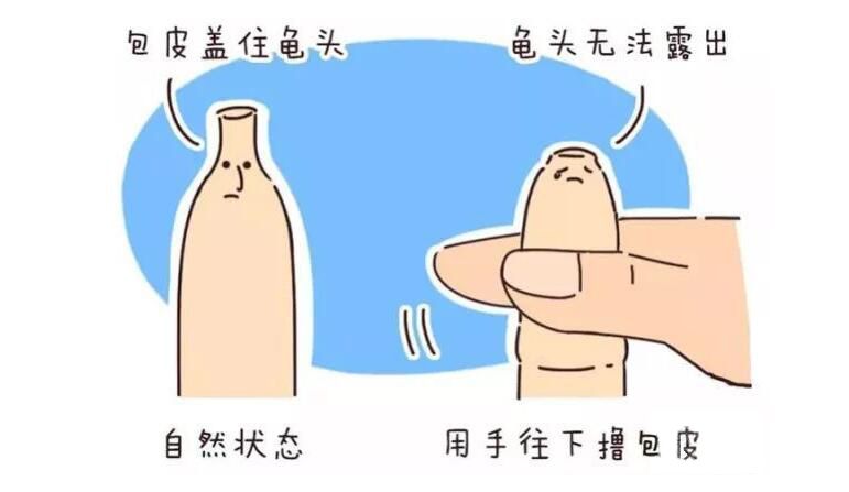 7071562045896957.jpg f828af60086c4590564617d3e58d988.jpg