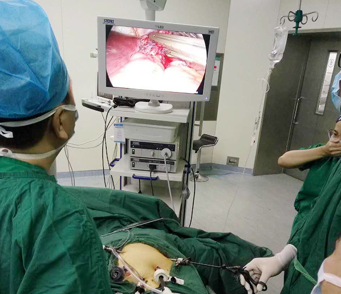 4811565338147449.jpg 2.jpg