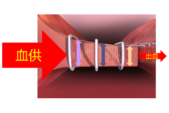 8351574042261813.jpg 6.jpg