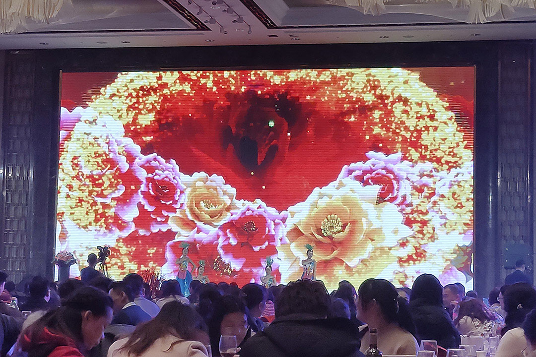 5201579227273176.jpg 13.jpg