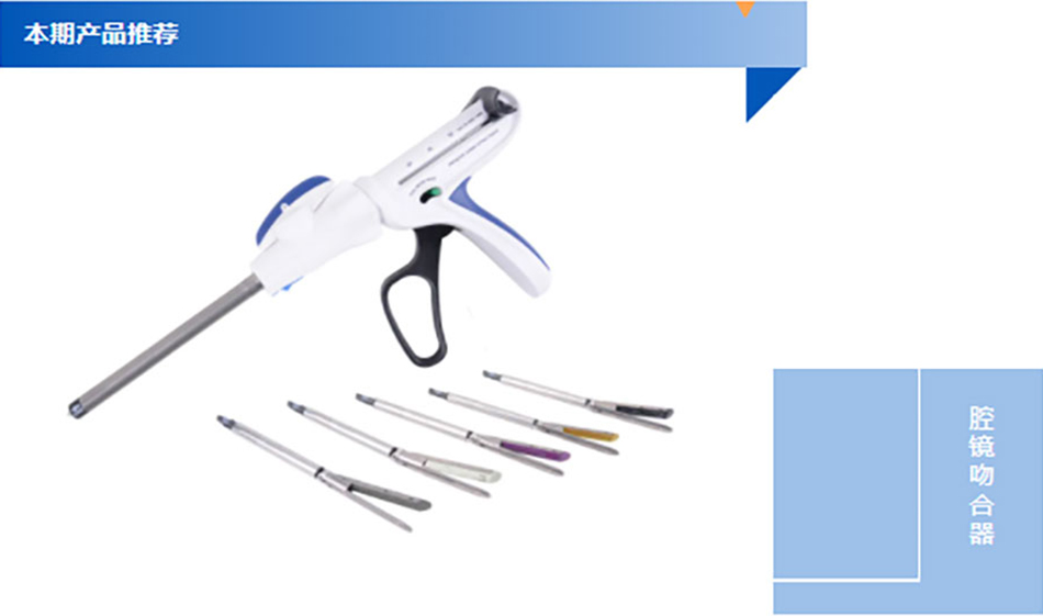 8061637741503766.jpg 2021-11-24_151246_12.jpg